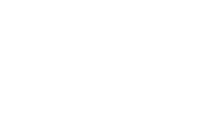 icon-2 American Flag Icon White